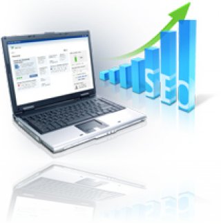 1und1 SEO Tool